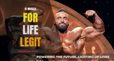 Muscle for Life: Legit or Not?