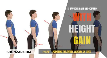 Does Building Muscle Increase Height? Separating Fact from Fiction