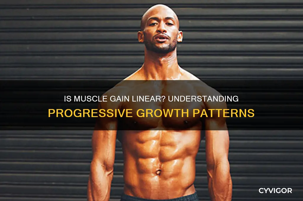 is muscle gain linear