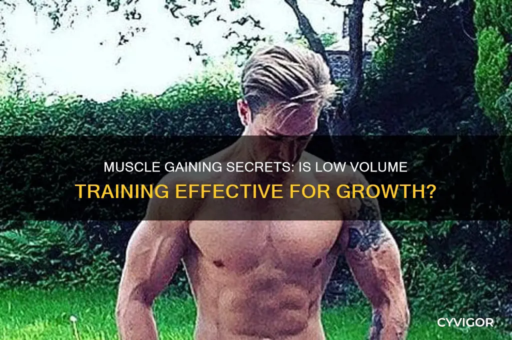 is muscle gaining secrets too low on volume