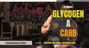 Muscle Glycogen: Carbohydrate Source for Athletes' Performance