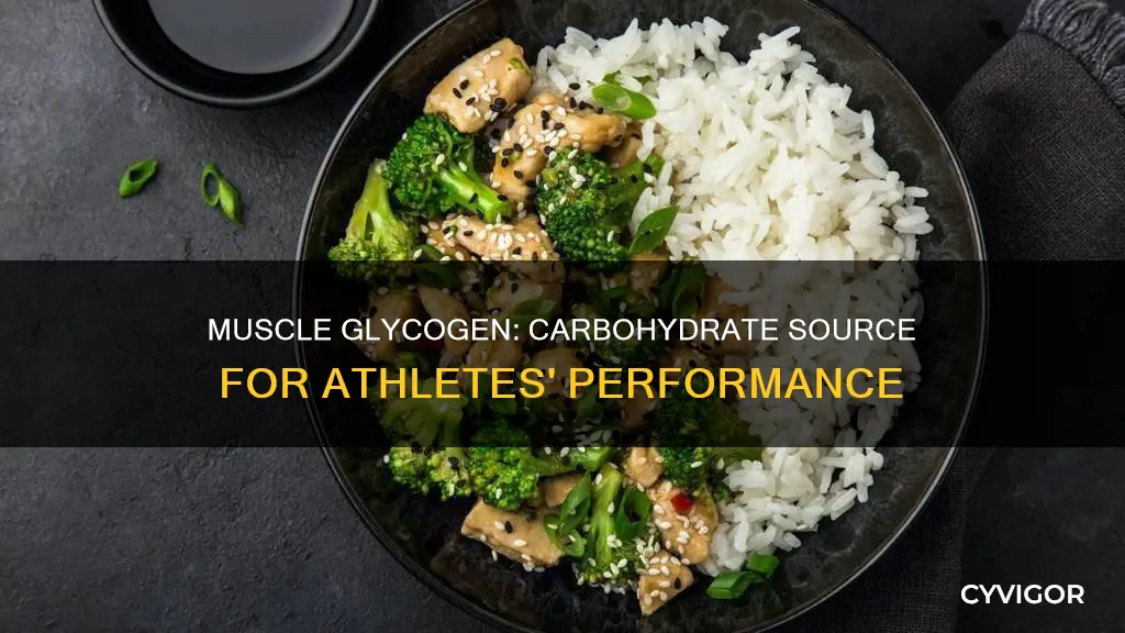 is muscle glycogen a carb