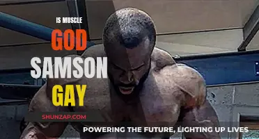 Samson's Sexuality: Exploring Muscle God's Gay Appeal
