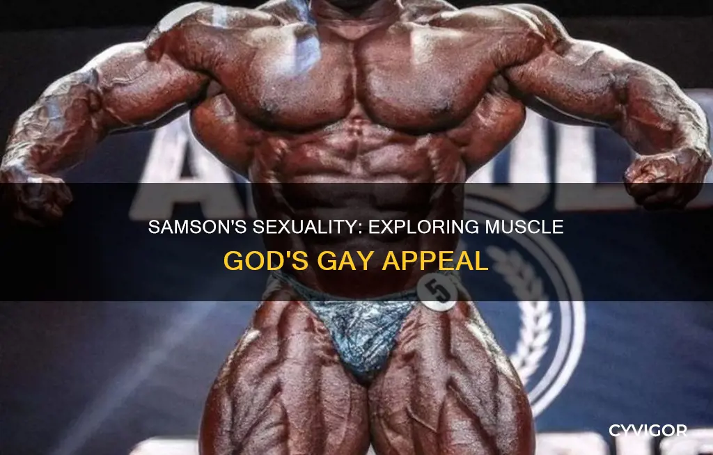 is muscle god samson gay