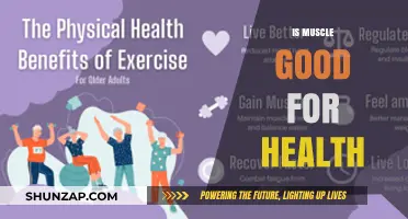 Muscle's Impact on Health: Benefits, Myths, and Long-Term Wellness