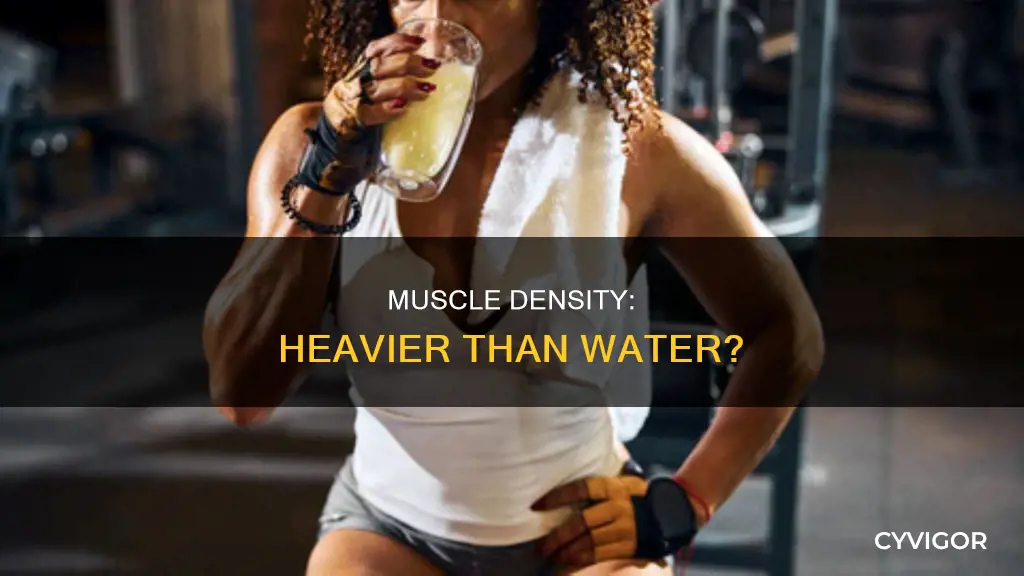is muscle heavier than water