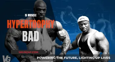 Muscle Hypertrophy: Is It Harmful or Helpful?