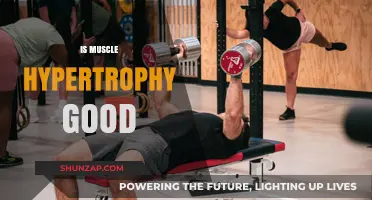 Is Muscle Hypertrophy Beneficial for Strength, Health, and Aesthetics?