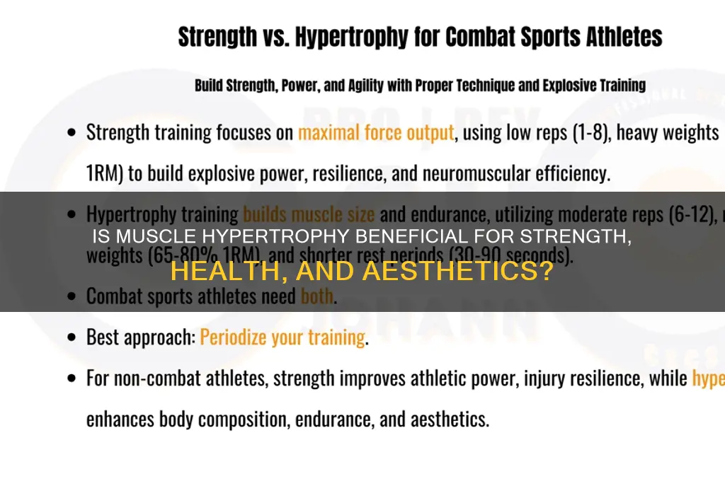 is muscle hypertrophy good