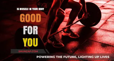Muscle Power: Unlocking Health Benefits and Longevity in Your Body