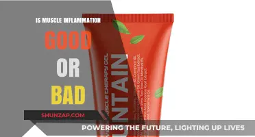 Muscle Inflammation: Understanding Its Role in Recovery and Performance