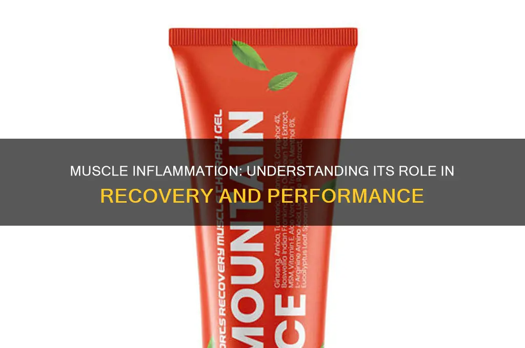is muscle inflammation good or bad
