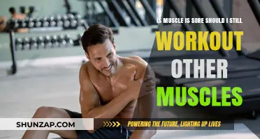 Sore Muscles? Smart Strategies for Working Out Other Muscle Groups