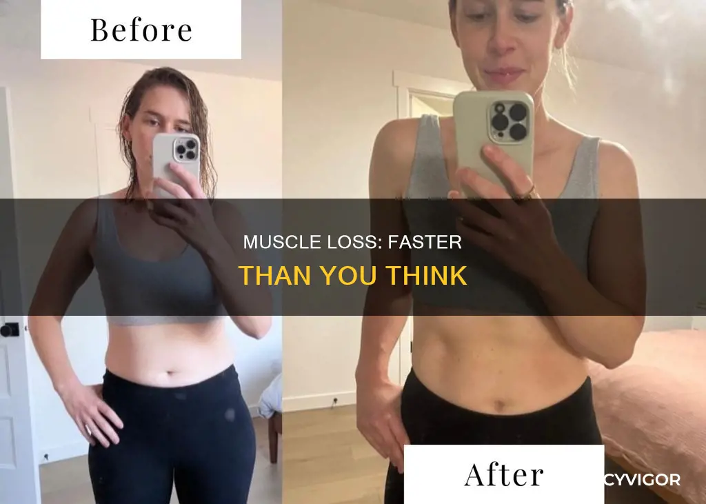 is muscle loss faster than