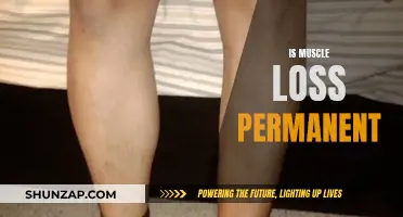 Muscle Loss: Can It Be Reversed?