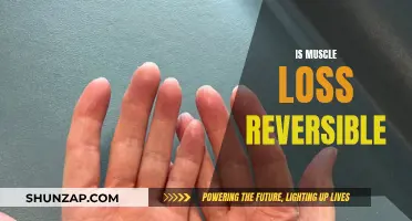 Reversing Muscle Loss: Is It Possible?