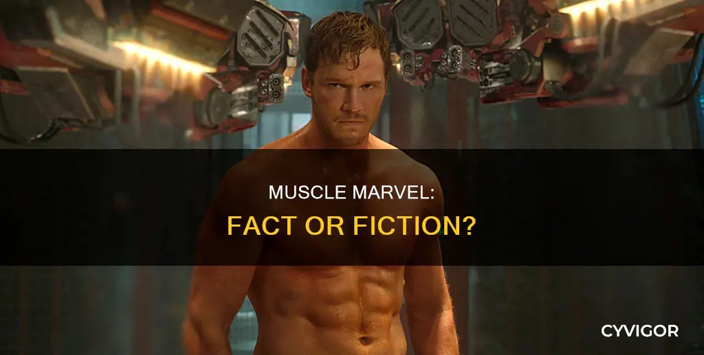 is muscle marvel