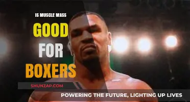Muscle Mass in Boxing: Strength Advantage or Ring Liability?