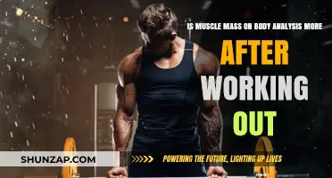 Post-Workout Muscle Mass Analysis: Does Training Boost Body Composition?