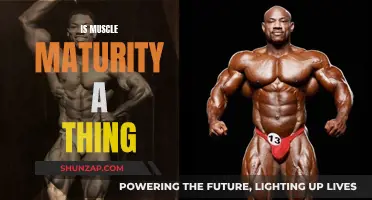 Muscle Maturity: Fact or Fiction?