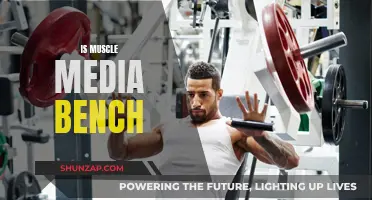 The Ultimate Muscle-Building Media Bench Experience