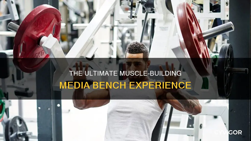 is muscle media bench