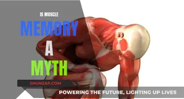 Muscle Memory: Fact or Fiction?