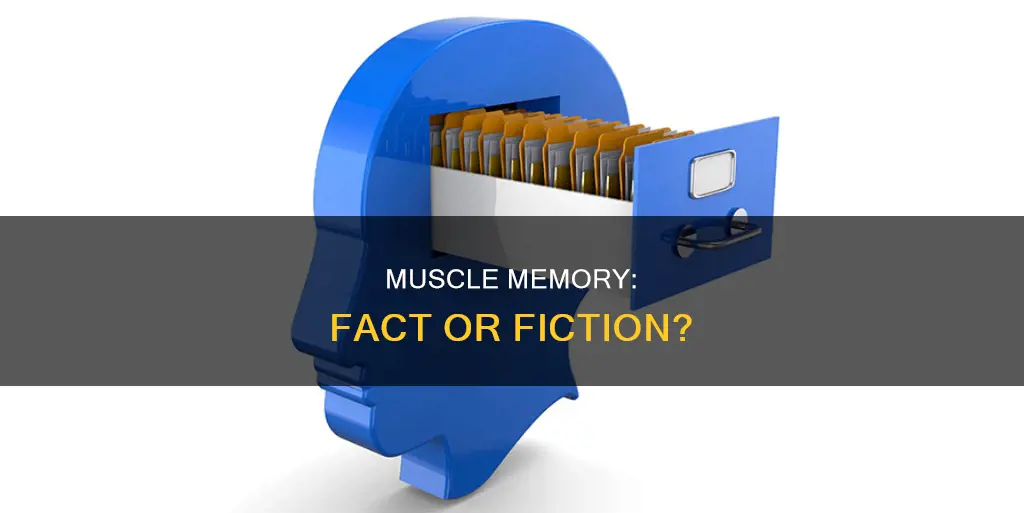 is muscle memory a myth
