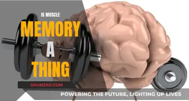 Muscle Memory: Fact or Fiction?