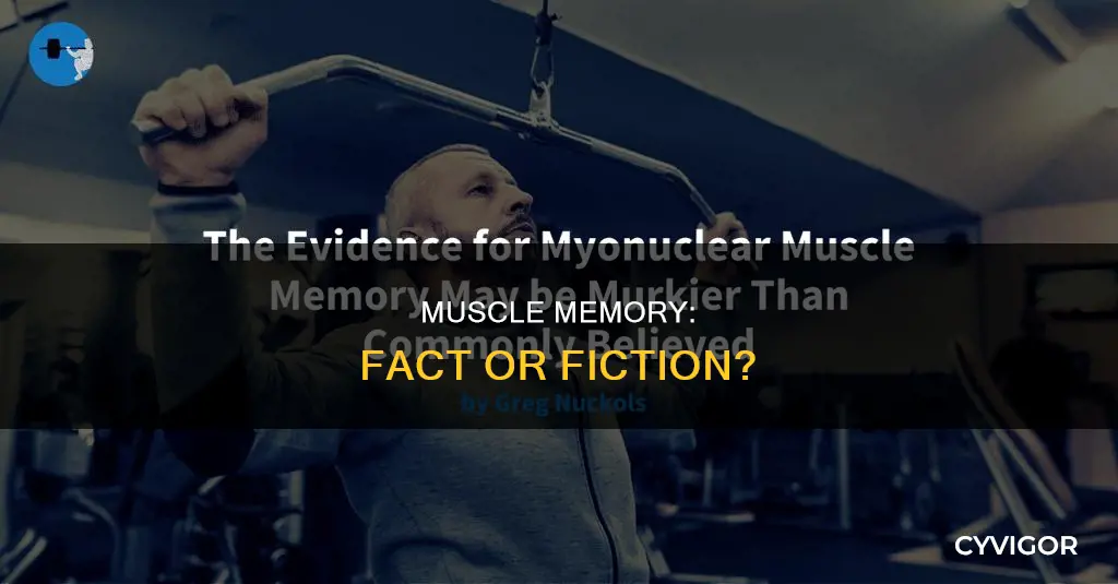 is muscle memory a thing