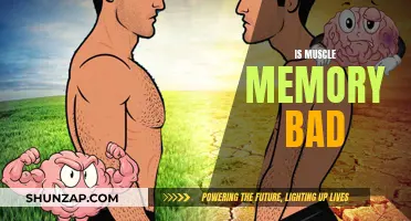 Muscle Memory: Friend or Foe?