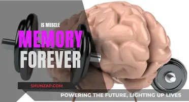 Muscle Memory: Permanent or Fleeting?