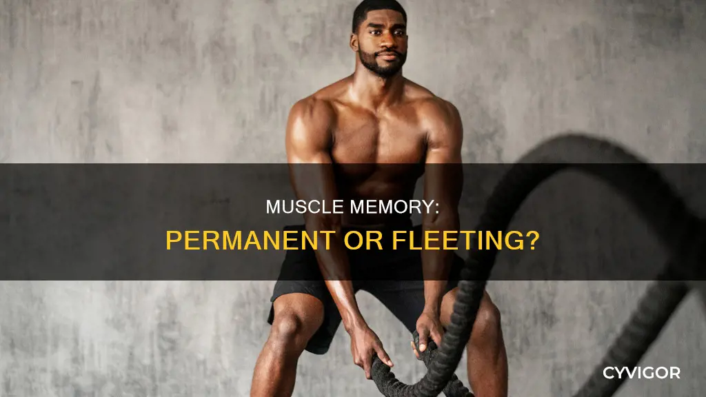 is muscle memory forever