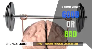 Muscle Memory: Unlocking Benefits or Hindering Progress in Training?