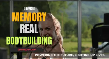 Muscle Memory: Bodybuilding's Secret Weapon?