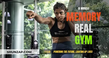 Muscle Memory: Fact or Fiction for Gym Enthusiasts?