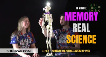 Muscle Memory: Fact, Fiction, or Scientific Principle?