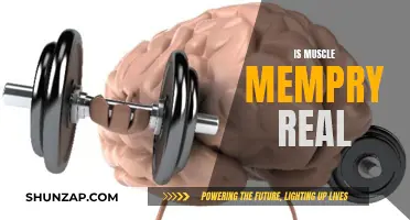 Muscle Memory: Fact or Fiction?
