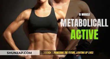 Muscle Tissue: Active Metabolism, Active Body