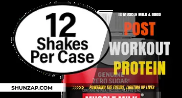 Muscle Milk Post-Workout Review: Effective Protein for Recovery?