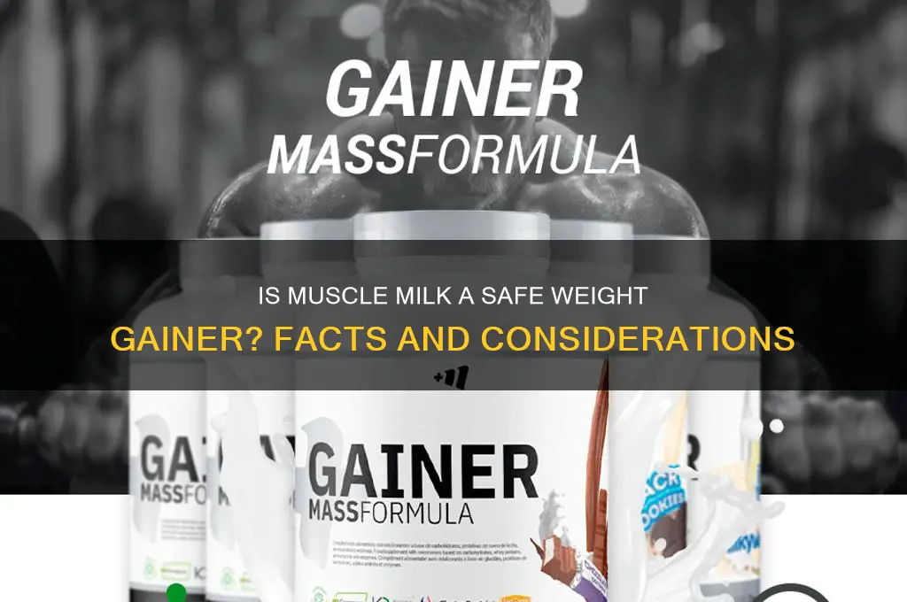 is muscle milk a safe weight gainer