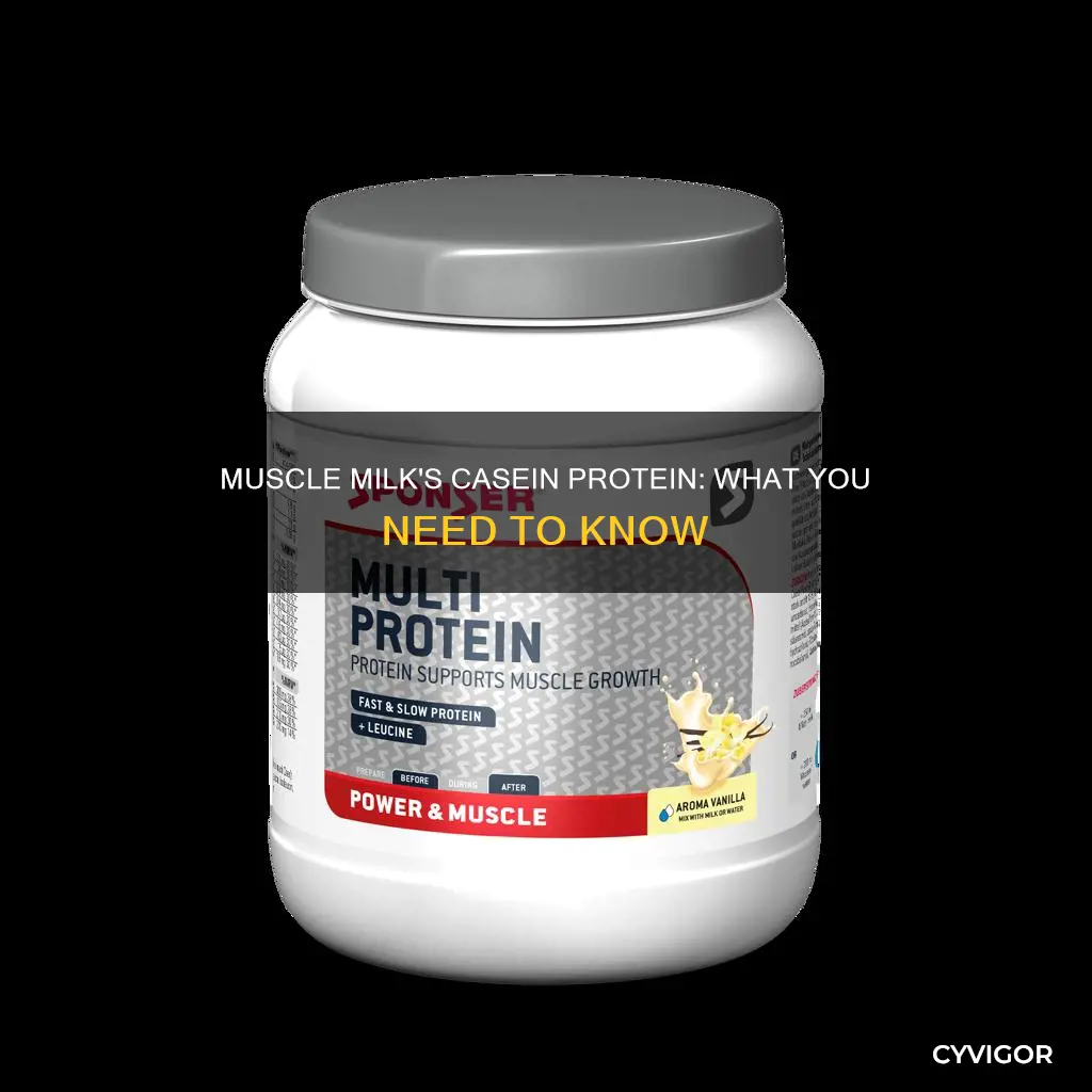 is muscle milk casein protein