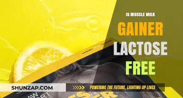 Is Muscle Milk Gainer Lactose-Free? A Complete Guide for Consumers