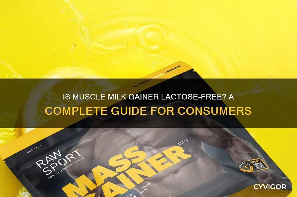 is muscle milk gainer lactose free