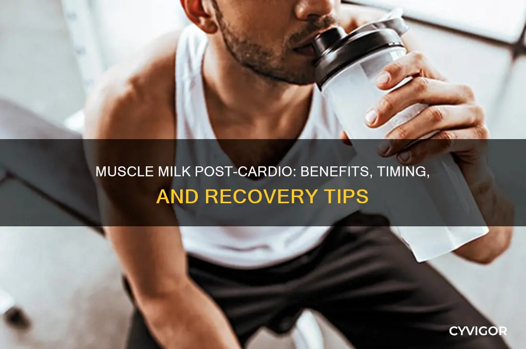 is muscle milk good after cardio