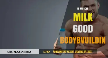 Is Muscle Milk Effective for Bodybuilding? A Comprehensive Review
