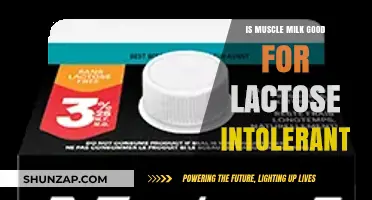 Muscle Milk and Lactose Intolerance: A Safe Protein Option?