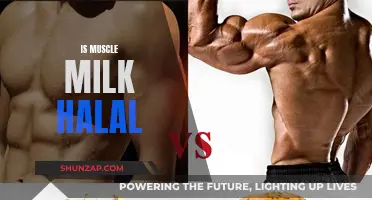 Muscle Milk's Halal Status: What You Need to Know