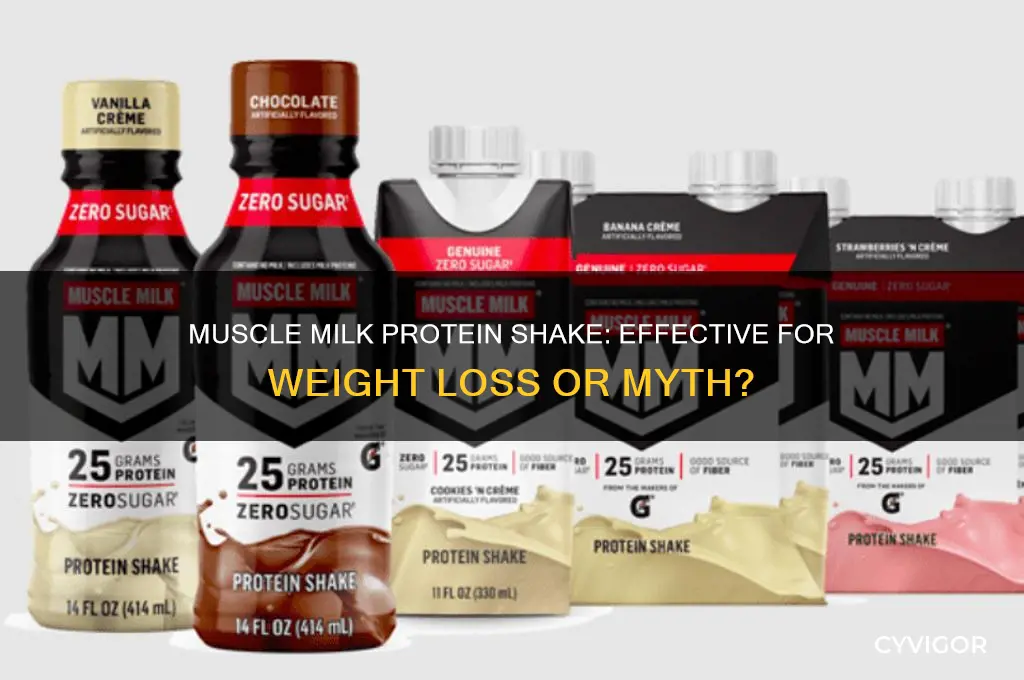 is muscle milk protein shake good for weight loss