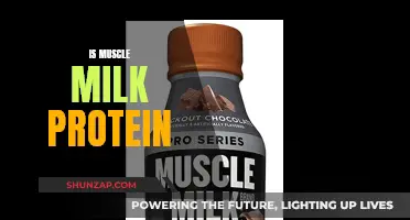 Muscle Milk Protein: Is It Worth the Hype?